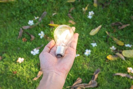 Lighting Bulb Lampの写真素材