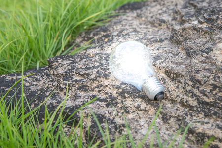 Lighting Bulb Lampの写真素材