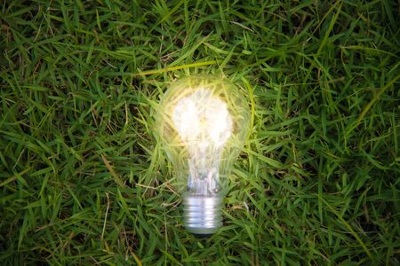 Lighting Bulb Lampの写真素材