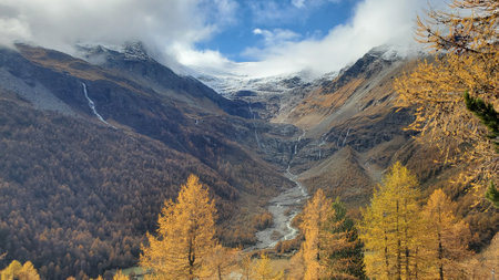 Autumn alpine landscape with yellow larches and snow-capped mountainsの写真素材