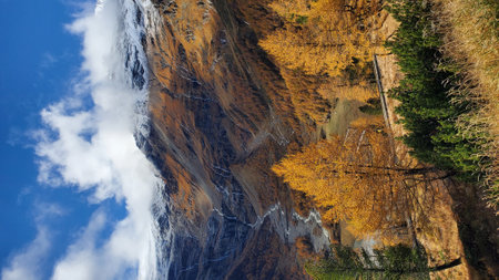 Autumn in the swiss alps (Braunwald, Switzerland)の写真素材