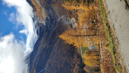 Autumn in the mountains. Russia, Siberia, Altai mountains.の写真素材