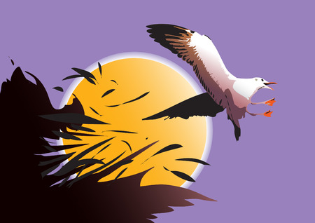 Seagull bird flying out to the freedom sky.のイラスト素材