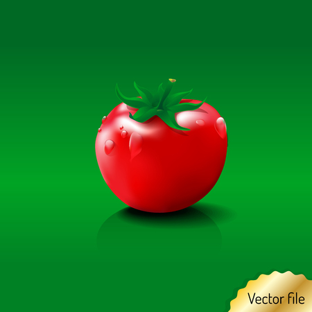 tomato - fresh fruit & vegetables illustration. red color, vector fileのイラスト素材