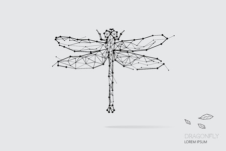 The particles, geometric art, line and dot of dragonfly.
abstract vector illustration. graphic design concept of nature.
- line stroke weight editableのイラスト素材