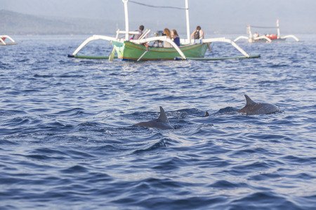 Lovina Beach, Bali, known as dolphin beach as it can been seen naturally using boat.の写真素材