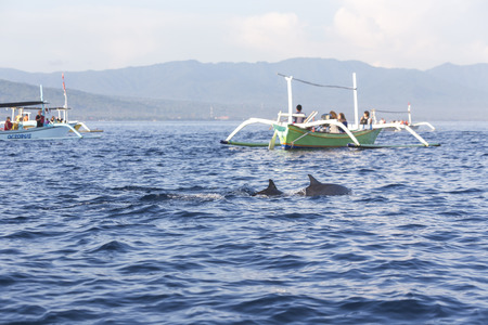 Lovina Beach, Bali, known as dolphin beach as it can been seen naturally using boat.の写真素材
