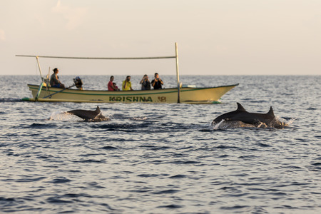Lovina Beach, Bali, known as dolphin beach as it can been seen naturally using boat.の写真素材
