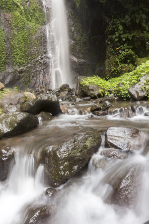 Waterfall in deep forest of Baliの写真素材