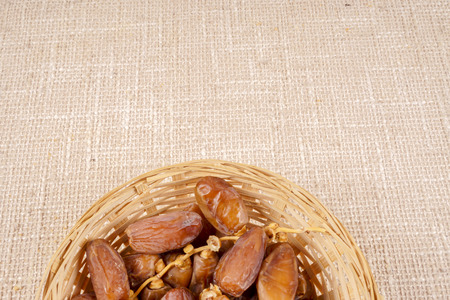 Dried dates isolated on wooden backgroundの写真素材