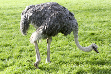 Amazing scenic landscape view in New Zealand.の写真素材