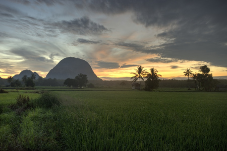 Beautiful morning sunrise at paddy field with amazing clouds