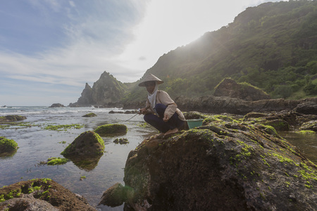 View of Watu Lampung Beach during cloudy day. Nature composition,grain and noise effect,soft focus and vibrant colours.のeditorial素材