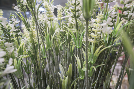 KUALA LUMPUR, 16 JAN 2017. Lovely Lace artifical flowers and teddy bear well known shop.のeditorial素材