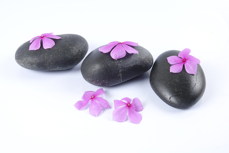 Zen stones and flowers. Beauty and spa conceptual.の写真素材