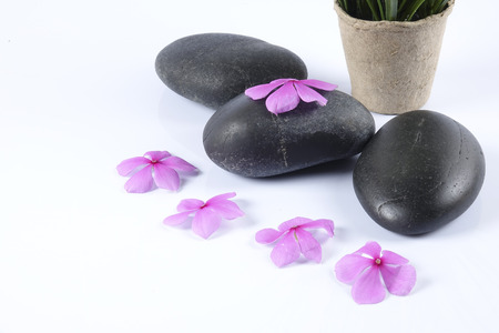 Zen stones and flowers. Beauty and spa conceptual.の写真素材