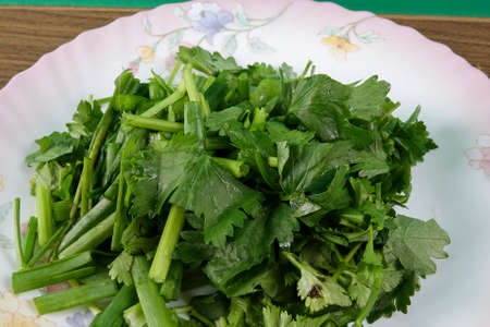 Soup and onion leaves on green background.の写真素材