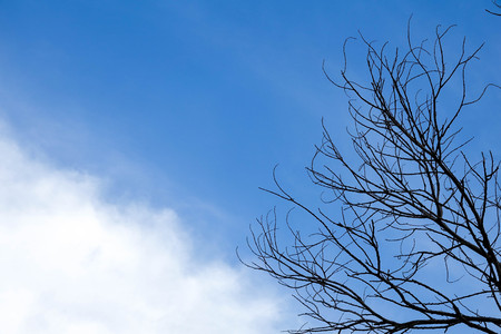 A cloud over blue sky as a background.の写真素材