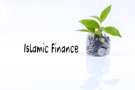 Financial planning, financial growth conceptual. .Stack coins in the glass represents good returns and tree represent growth.の写真素材