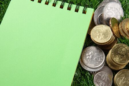 Coins and notepad on the green background.