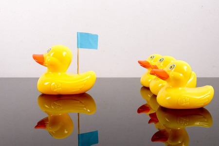 A group of ducks following big duck. Leadership conceptual.の写真素材
