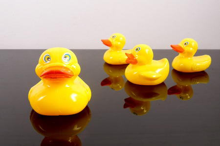 A group of ducks following big duck. Leadership conceptual.の写真素材