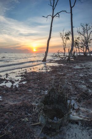 Scenic view of amazing tropical beach. Nature composition and vibrant colors.の写真素材