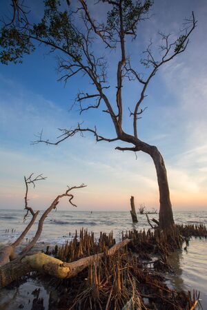 Scenic view of amazing tropical beach. Nature composition and vibrant colors.