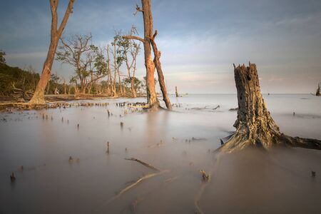 Scenic view of amazing tropical beach. Nature composition and vibrant colors.