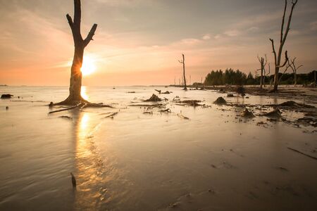 Scenic view of amazing tropical beach. Nature composition and vibrant colors.