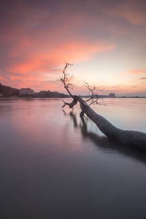 Scenic view of amazing tropical beach. Nature composition and vibrant colors.の写真素材