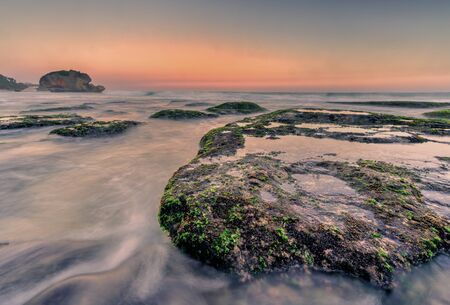 Scenic view of amazing tropical beach. Nature composition and vibrant colors.の写真素材