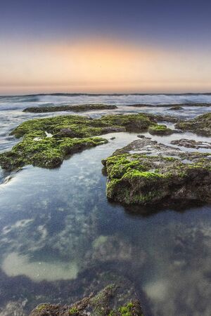 Scenic view of amazing tropical beach. Nature composition and vibrant colors.の写真素材