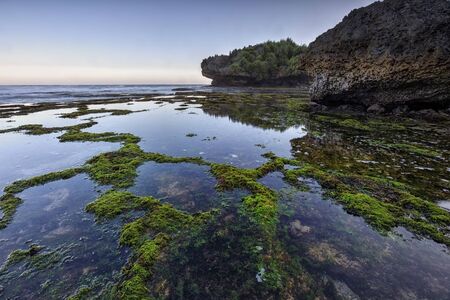 Scenic view of amazing tropical beach. Nature composition and vibrant colors.の写真素材