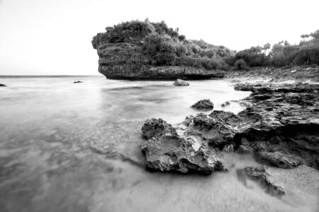 Scenic view of amazing tropical beach. Nature composition and vibrant colors.の写真素材