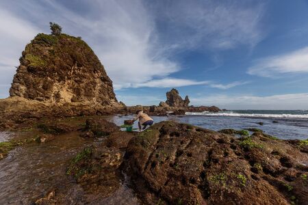Scenic view of amazing tropical beach. Nature composition and vibrant colors.の写真素材