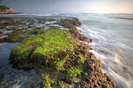 Scenic view of amazing tropical beach. Nature composition and vibrant colors.の写真素材