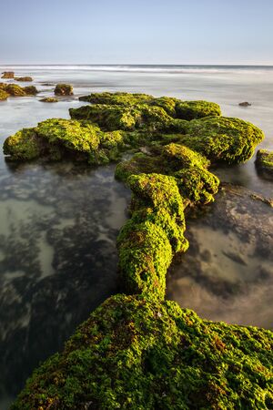 Scenic view of amazing tropical beach. Nature composition and vibrant colors.