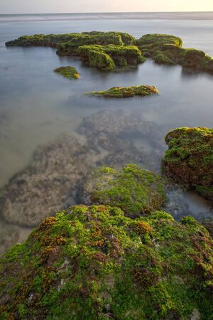 Scenic view of amazing tropical beach. Nature composition and vibrant colors.の写真素材