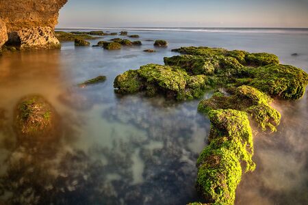 Scenic view of amazing tropical beach. Nature composition and vibrant colors.の写真素材
