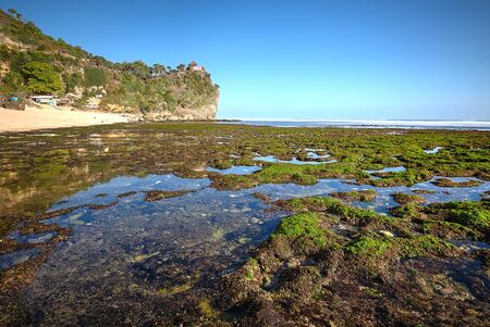 Scenic view of amazing tropical beach. Nature composition and vibrant colors.の写真素材