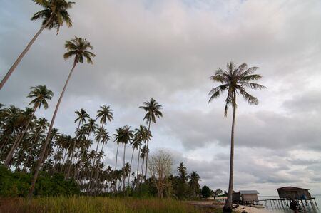 Scenic view of amazing tropical beach. Nature composition and vibrant colors.の写真素材
