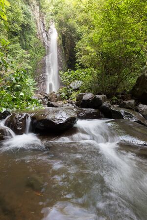 Waterfall/stream in a deep rain forest.の写真素材
