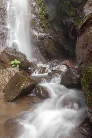 Waterfall/stream in a deep rain forest.の写真素材