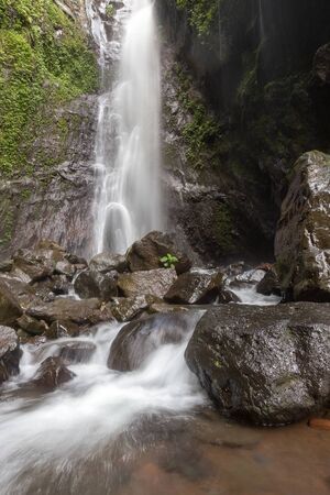 Waterfall/stream in a deep rain forest.の写真素材