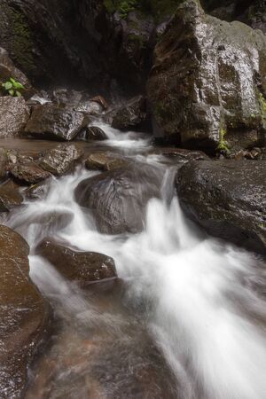 Waterfall/stream in a deep rain forest.の写真素材