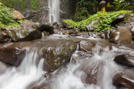 Waterfall/stream in a deep rain forest.の写真素材