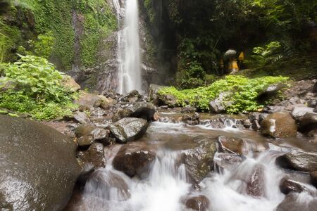 Waterfall/stream in a deep rain forest.の写真素材
