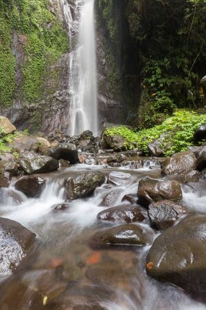 Waterfall/stream in a deep rain forest.の写真素材