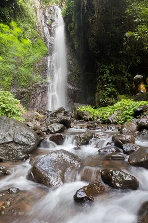 Waterfall/stream in a deep rain forest.の写真素材